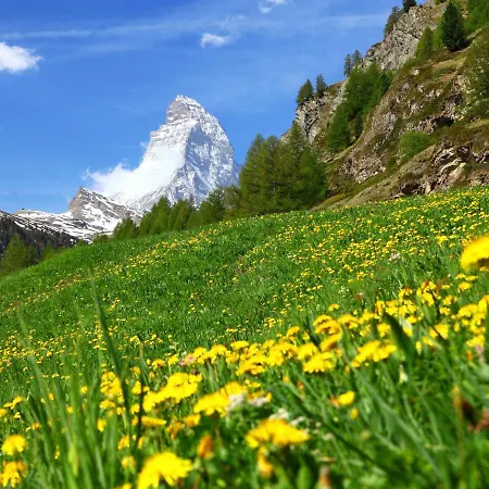 Luchre By Interhome Zermatt